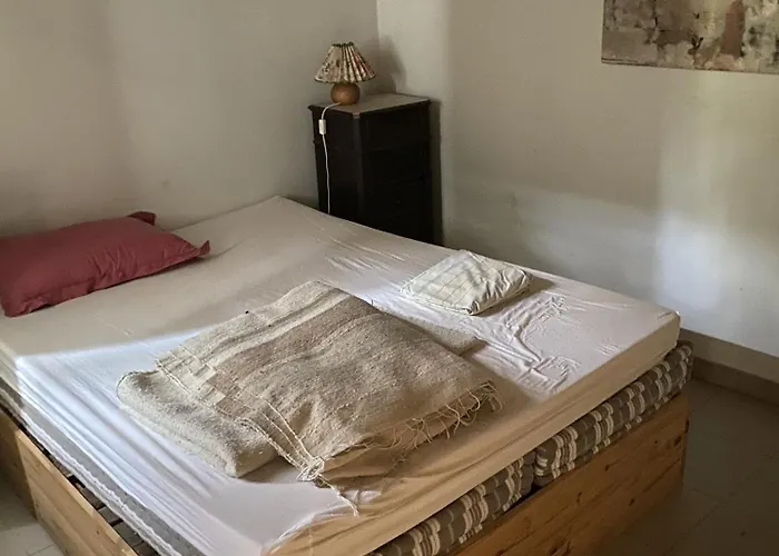 Buvolaccia * Sampolo