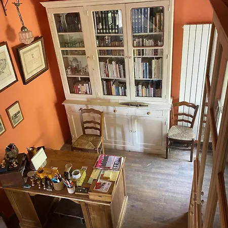 Buvolaccia فيلة *