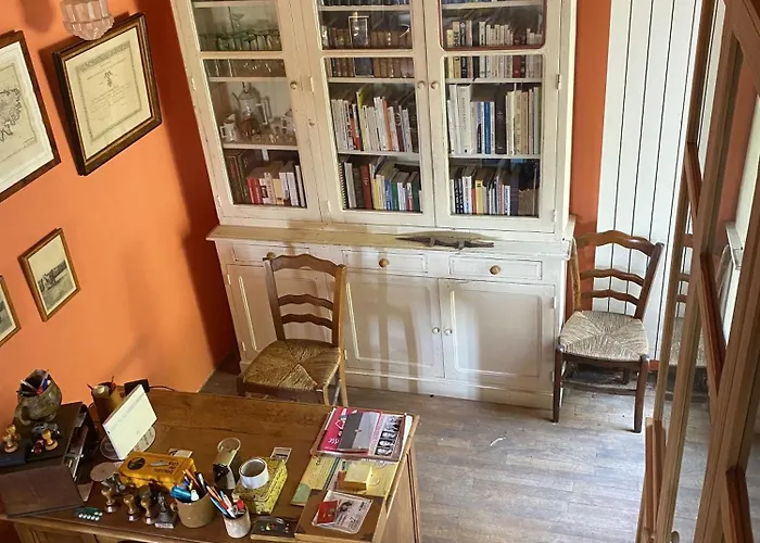 Buvolaccia فيلة *